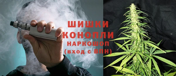 ГАЛЛЮЦИНОГЕННЫЕ ГРИБЫ Надым