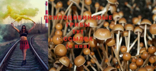 бутират Аркадак