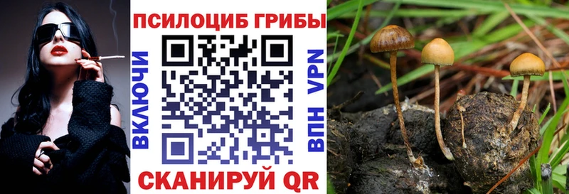 Псилоцибиновые грибы мухоморы  мега tor  Ак-Довурак 